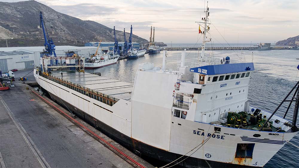 Barco puerto sea rose Barco puerto sea rose